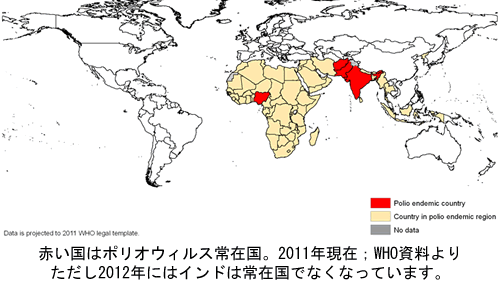 ポリオ流行国