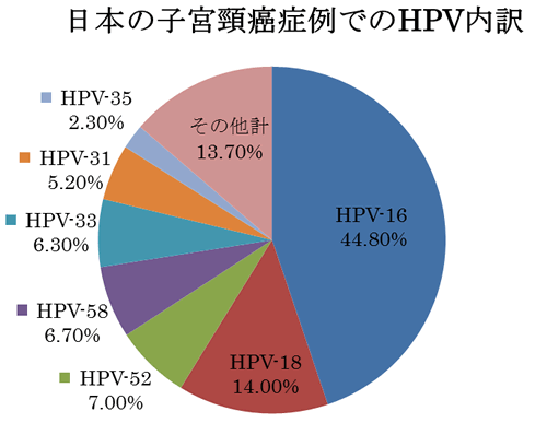 日本の子宮頸癌におけるHPVの内訳